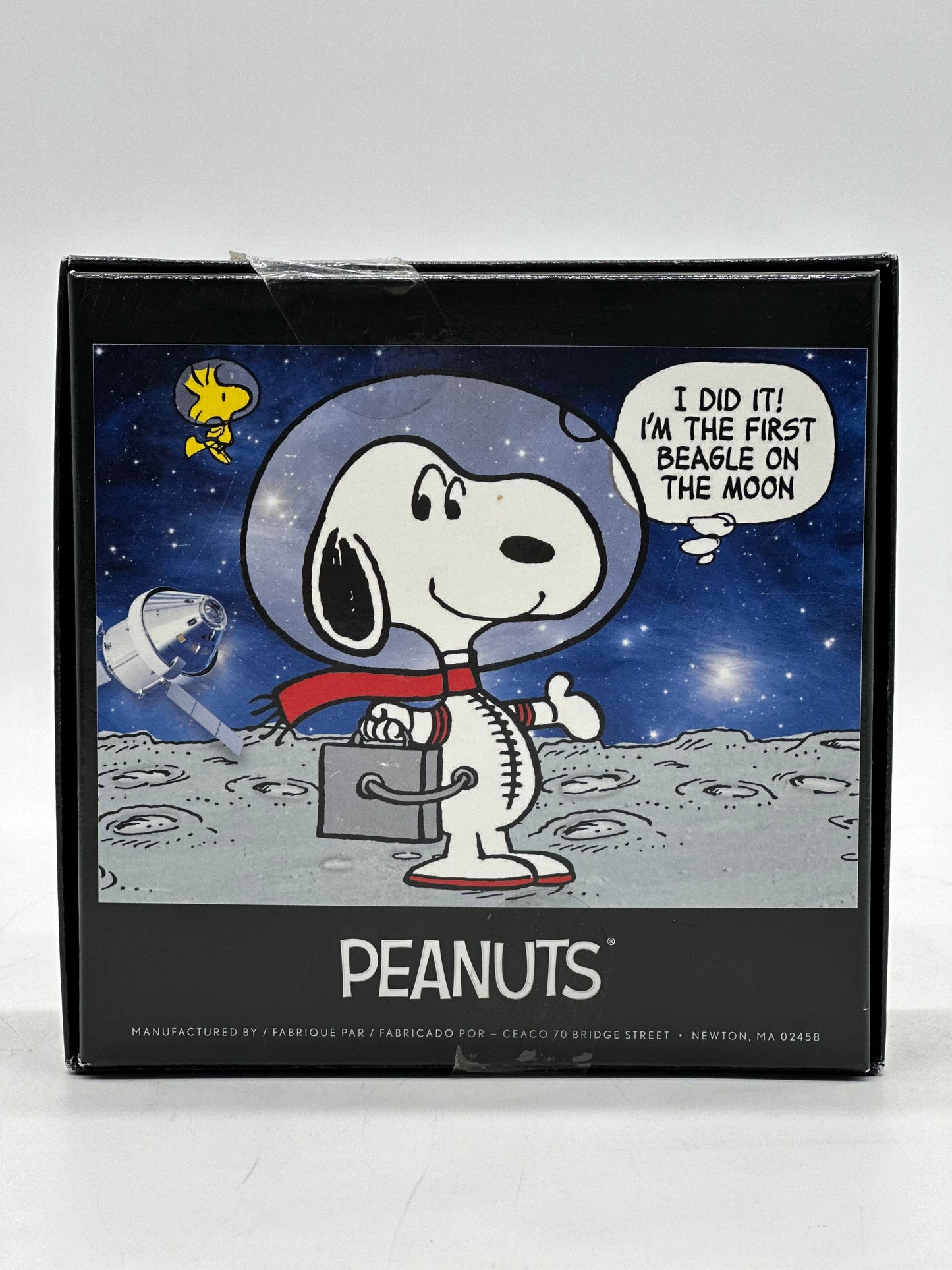 Peanuts 100 PCs Puzzle