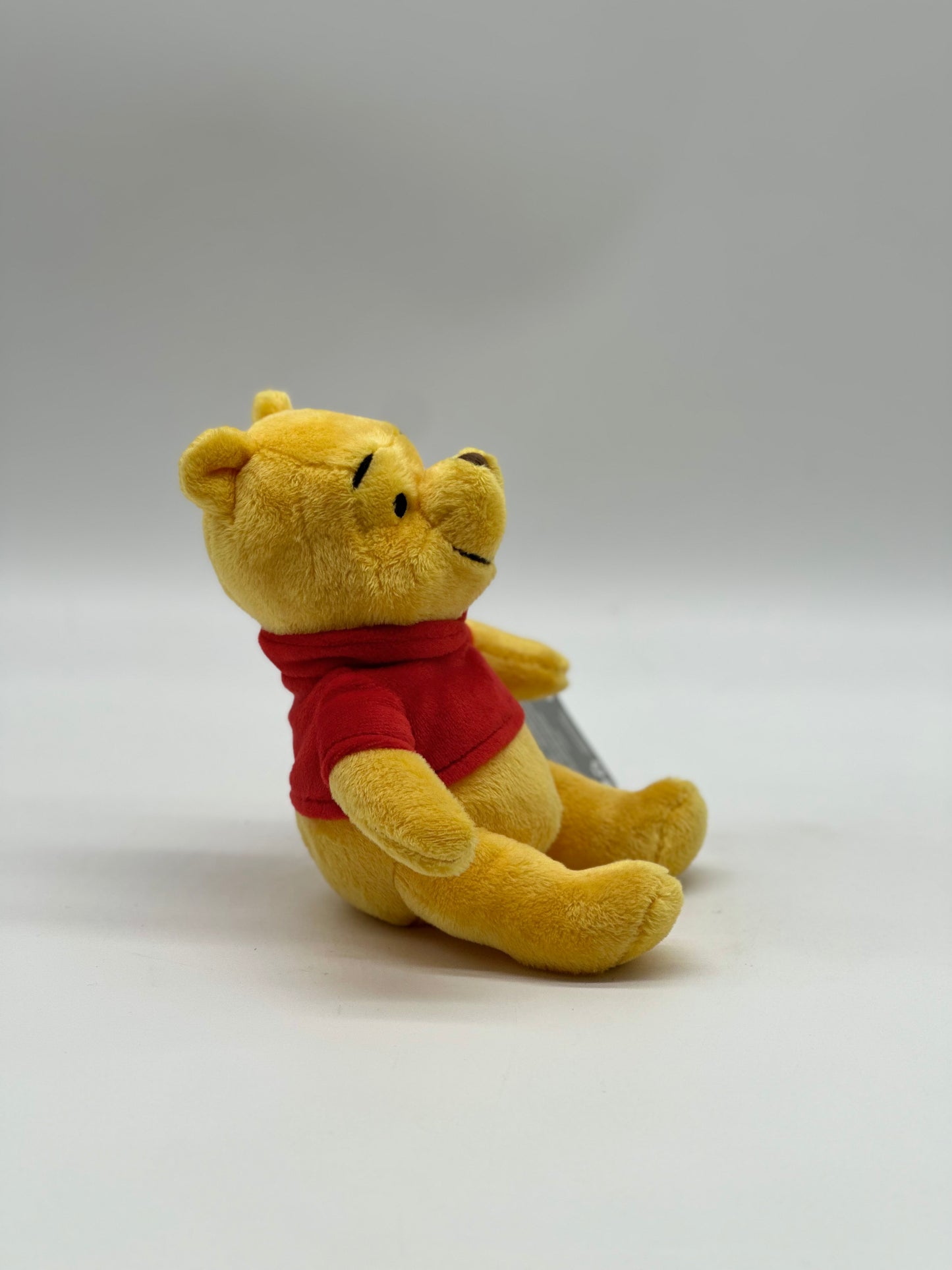Winnie The Pooh Plush Small