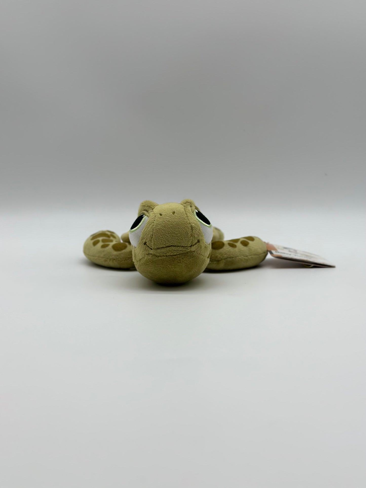 Baby Turtle Plush Small